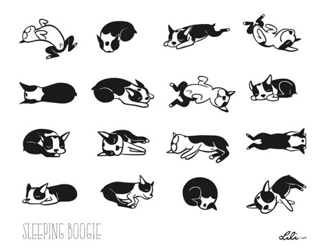 SleepingBoogies2 Dog Tattoo Boston Terrier, Boston Terrier Tattoo, Boston Terrier Illustration, Boston Terrier Art, Boston Art, Black And White Drawings, Boston Terrier Love, Terrier Breeds, 강아지 그림