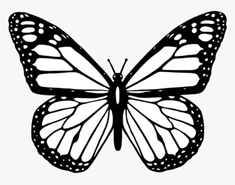 Butterflies Monarch, Easy Butterfly Drawing, Monarch Butterfly Tattoo, Simple Butterfly Tattoo, Butterfly Black And White, Butterfly Outline, Butterfly Stencil, Butterfly Mandala, Cartoon Butterfly