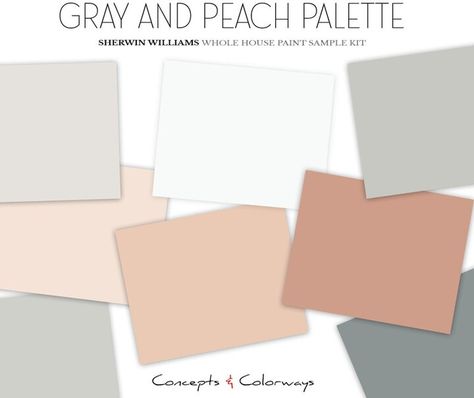 Gray and Peach Paint Color Sample Kit for the Home - Professional Interior Paint Color Scheme - Room Paint Colors Peach Paint Colors, Interior Paint Color, Peach Paint, Interior Paint Colors Schemes, Paint Color Schemes, Exterior Color Schemes, Grey Exterior, Grey Room, Room Paint Colors