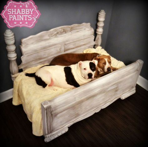 Upcycled Pet Bed, Dog Bed Frame, Pallet Dog Beds, Diy Pet Bed, Pitt Bull, Diy Dog Bed, Dog Rooms, Dog Furniture, Animal Projects