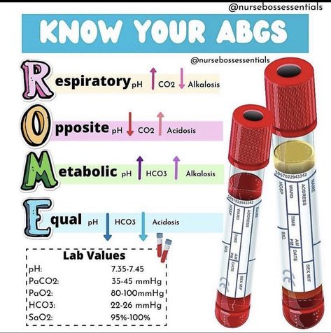 Arterial Blood Gases, Phlebotomy Study, Nursing School Studying Cheat Sheets, Nursing School Life, Instagram Rome, Nurse Skills, Nursing Instructor, Nursing School Essential, Nursing School Motivation