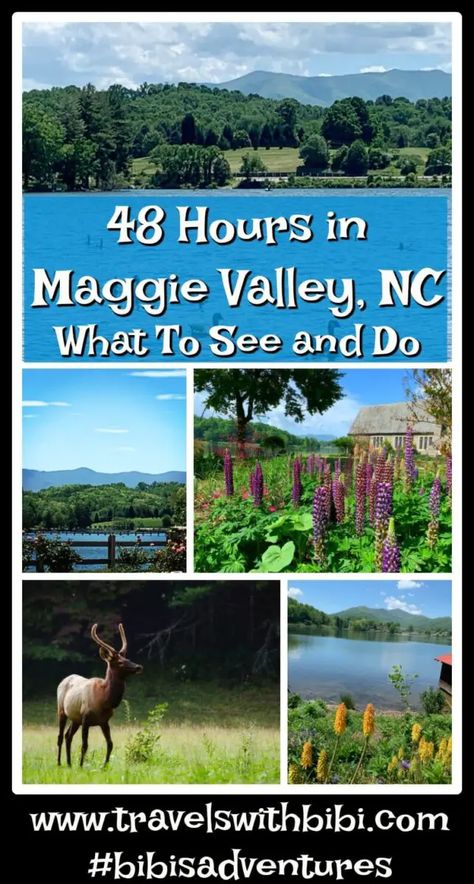 48 Hours in Maggie Valley, North Carolina: 16 Must See Things to Do Maggie Valley North Carolina, Lake Junaluska, Maggie Valley Nc, North Carolina Vacations, Maggie Valley, North Carolina Travel, Nc Mountains, Traveling Ideas, Travel America