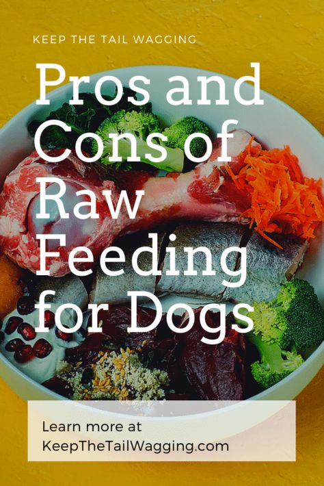 Feeding Your Dog A Raw Diet, Cheap Raw Food Diet For Dogs, Feeding Dogs Raw, Raw Food Diet For Dogs Recipes, Feeding Raw Diet To Dogs, Raw Meat For Dogs, Natural Food For Dogs, Raw Meat Diet For Dogs, Raw Fed Dogs Diet