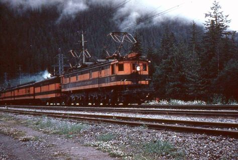 What appears to be one of the Great Northern's Y-1 electrics (carrying a 1-C+C-1 wheel arrangement they were products of General Electric/Alco), #5017, has a passenger consist (Western Star?) at Scenic, Washington circa 1950s. Great Northern Railroad, Milwaukee Road, Burlington Northern, Pennsylvania Railroad, Model Railways, Iron Horse, Electric Locomotive, Train Pictures, The James