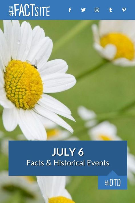 Did you know that on this day, July 6, 1785, the US adopted dollars as its official currency? Today is known as Virtually Hug a Virtual Assistant Day, and was the day Kevin Hart was born. We have some interesting facts & historic events all about July 6th, including areas in religion, crime, health and more. #TheFactSite #OnThisDay #July6 #TodayInHistory #TodayFacts #OTD #KissingDay Study Chemistry, Virtual Hug, Hayden Panettiere, Today In History, August 21, The Old Days, July 6th, American Rappers, Days Of The Year