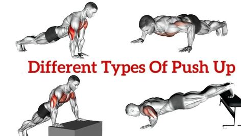 Push-ups can be performed, regardless of where you are and, best of all, they are completely free—no expensive equipment or annual gym fees required. There are different types of push-up variations to meet different needs. The classic push-up has survived the test of time and is the single most efficient exercise to simultaneously strengthen the chest, arms, deltoid, lower back, abs and glutes. #pushupvariations #PushUps #Typeofpushup Push Up Exercises, Push Up Types, Reverse Pushup, Different Types Of Push Ups, Types Of Push Ups, Push Up Muscles, Push Up Routine, Pushup Variations, Diamond Push Ups