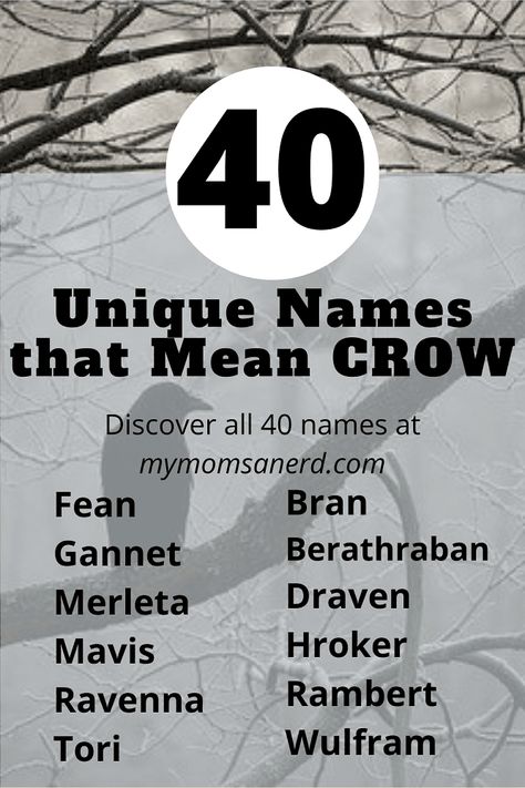 Names That Mean Crow, Names That Mean Raven, Dark Boy Names, Raven Name, Raven Meaning, Polynesian Names, Wolf Names, Dark Names, Scandinavian Names