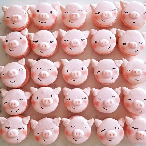 Farm Birthday Cakes, Pig Cupcakes, Pig Cake, Animal Cakes, Cute Baking, Cupcake Designs, A Beautiful Mess, Year Of The Pig, Pig Birthday