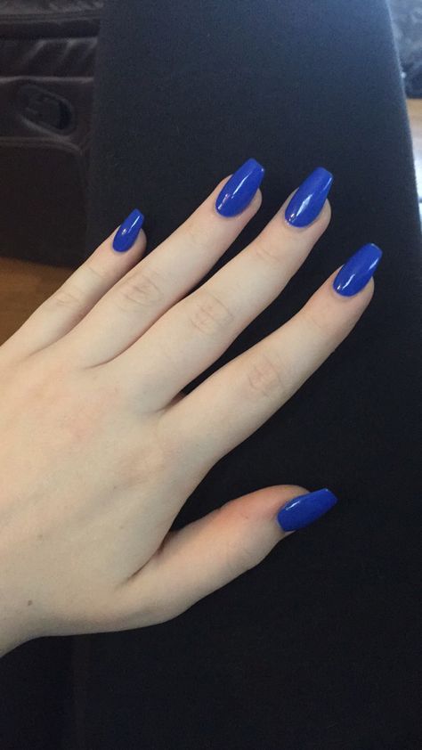 Royal blue coffins Royal Blue Acrylic Nails Coffin Short, Simple Royal Blue Nails Acrylic, Pretty Royal Blue Nails, Royal Blue Matte Acrylic Nails, Royal Blue Coffin Nails, Royle Blue Nails, Teen Prom, Blue Toe Nails, Blue Coffin Nails