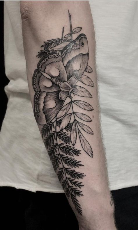 Moth between two ferns by Natalia Perrote at Homie Tattoo Prague Czech Republic Moth With Plants Tattoo, Fern And Floral Tattoo, Moth And Plant Tattoo, Fern Moth Tattoo, Bug And Plant Tattoos, Fern And Moth Tattoo, Moth Fern Tattoo, Moth Tattoo Upper Arm, Moth Hip Tattoo