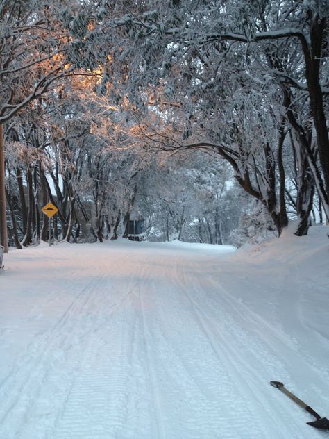 Falls Creek Victoria Australia Australia Snow, Snow Adventure, Snow Falls, Falls Creek, Road Trip Planning, Dream Holiday, Victoria Australia, Beautiful Country, Ski Trip