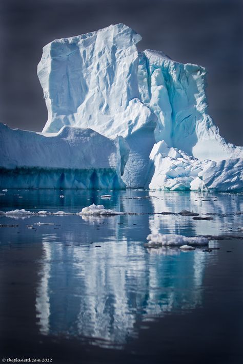 Antarctica, an iceberg reflection Quark Expeditions, Antarctic Peninsula, Ice Pictures, Strange Weather, Arctic Landscape, Ice Castles, Ushuaia, South Pole, Amazing Nature