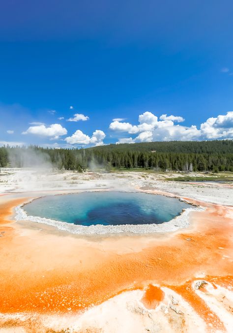 Old Faithful Geyser Loop Trail | Get Inspired Everyday! Old Faithful Geyser, Usa Road Trip Ideas, Idea Bedroom, Usa Road Trip, Road Trip Ideas, Yellowstone Trip, Visit Yellowstone, Old Faithful, Awesome Places