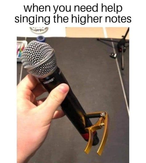 Musician Memes, Musician Jokes, Musical Jokes, Musician Humor, Band Jokes, How To Sing, Music Jokes, Band Nerd, Music Nerd