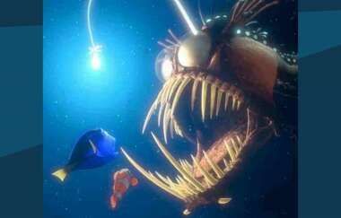 the humpback anglerfish is a species of the black sea devils which means black whale in the mythical species is named after James Yate Johnson discovered in 1863 common names include anglerfish viper fish and fangtooth Mythical Species, Humpback Anglerfish, Viper Fish, Angler Fish, Black Sea, Sea Turtle, Fish Pet, Fish