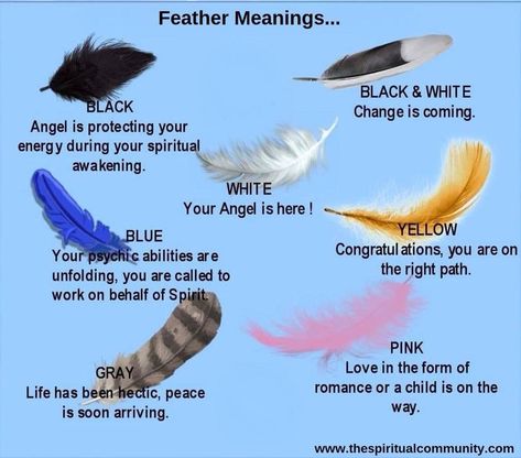 Feathers Feather Meaning, Magia Das Ervas, Under Your Spell, After Life, Kitchen Witch, Spell Book, Book Of Shadows, Spiritual Awakening, The Words