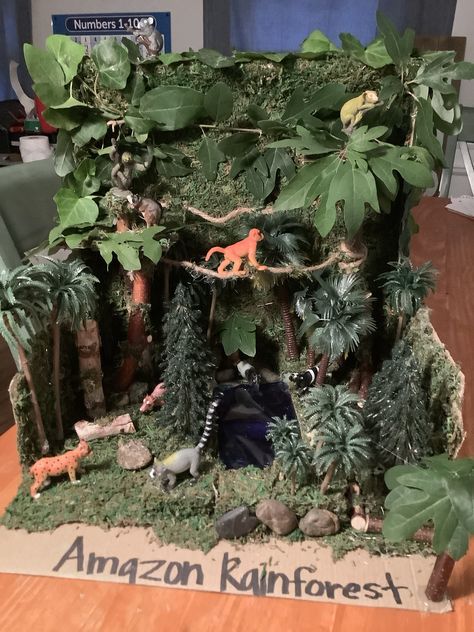 Amazon River School Project, Amazon Rainforest Diorama, Rainforest Diorama Shoebox For Kids, Rainforest Biome Shoebox Project, Jungle Diorama, Jungle Model, Rainforest Diorama, Shoe Box Diorama, Monkey Habitat