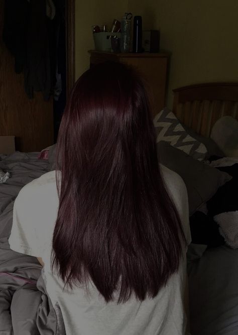 Very Dark Burgundy Hair, Deep Red On Black Hair, Dark Cherry Red Hair Box Dye, Dark Maroon Hair Color, Dark Redish Purpleish Hair, Cherry Brown Hair Aesthetic, Dark Chocolate Brown Hair Red Tint, Blackberry Burgundy Black Hair, Dark Red Emo Hair