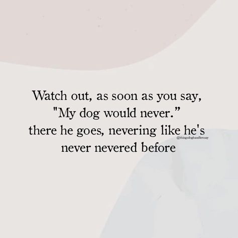 Mixed Emotions, Dog Mama, Animal Quotes, Dog Quotes, Funny Animal Pictures, A Quote, Quotes Funny, My Dog, I Love Dogs