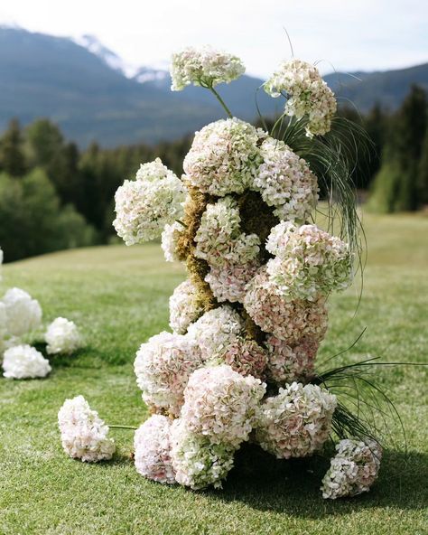 What are your favorite flowers? Still not over these hydrangeas. Part of our wedding ceremony in Whistler. Now have them dried in my office as decor! #hydrangeas #inspo #wedding #flower #flowers Hydrangea Wedding Alter, Hydrangea Installation, Wedding Hydrangeas, White Hydrangea Wedding, Wedding Alters, Hydrangea Colors, Dried Hydrangeas, Hydrangeas Wedding, Wedding 2025