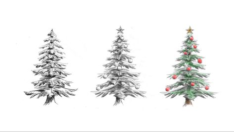 The Stages of a Christmas Tree Drawing Christmas Tree Drawings Easy, Drawings Of Christmas Trees, Christmas Tree Illustration Drawings, How To Draw A Christmas Tree, How To Draw Christmas Tree, Draw Christmas Tree, Draw A Christmas Tree, Christmas Tree Sketch, Trees Drawing Tutorial