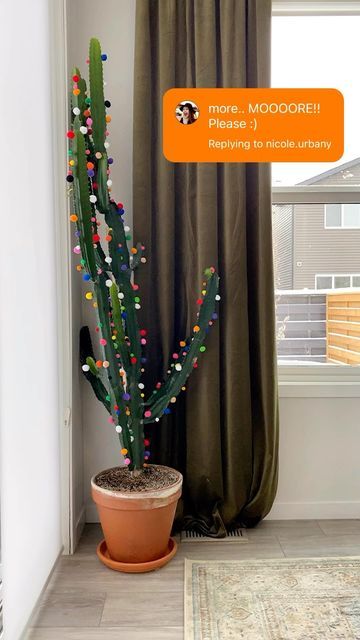 Colby | ThisisDrover on Instagram: "Every single pom pom i could find in my house • Im not mad at it. • #plantmom #euphorbia #houseplants #pompomcrafts #sillycrafts #maximalist #eclecticdecor" Cactus Christmas Decor, Pom Pom Cactus, Christmas Cactus Door Decoration, Xmas Cactus, Cactus With Christmas Lights, Christmas Cactus Problems, Pom Pom Crafts, Cactus Y Suculentas, Colby