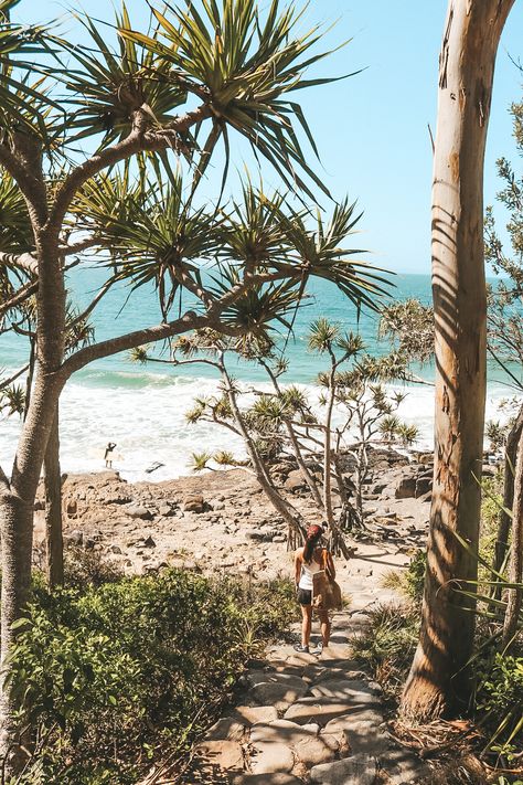 Noosa National Park, Queensland, Top things to do, Travel Guide, Australia Noosa Heads Aesthetic, Sunshine Coast Australia Aesthetic, Noosa National Park, Sunshine Coast Hinterland, Noosa Heads Australia, Noosa Australia Aesthetic, Sunshine Coast Aesthetic, Australia Coast, Hiking Australia