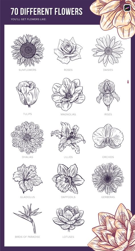 Flowers In Procreate, Borboleta Tattoo, Sunflowers Roses, How To Draw Flowers, Procreate Ideas, Flower Pattern Drawing, Draw Flowers, Flower Drawing Tutorials, Procreate Ipad Art