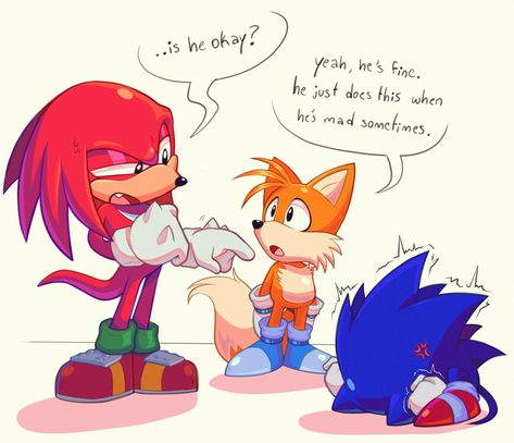 Sonic And Tails, Knuckles The Echidna, Dik Dik, Sonic & Knuckles, Classic Sonic, Sonic Heroes, Sonic Funny, Sonic Fan Characters, Sonic 3