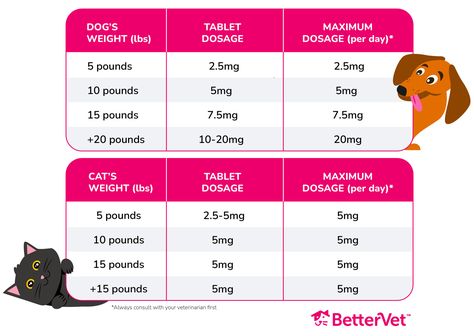 Zyrtec for Pets: Is Cetirizine Safe and Effective for Pet Allergies? Dog Benadryl, Meds For Dogs, Allergy Season, Pet Allergies, Pet Ideas, Seasonal Allergies, Allergy Symptoms, Skin Allergies, Dog Care Tips