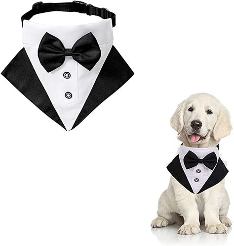 Dog Wedding Bandana, Formal Dog, Dog Tuxedo, Wedding Tuxedo, Dog White, Pet Scarf, Cat Bandana, Love Your Pet, Dog Collars & Leashes