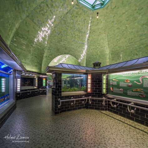 Belle Isle Aquarium - Photos gallery | Historic Detroit Historic Detroit, Aquarium Photos, I Need A Vacation, Belle Isle, Need A Vacation, Green Tile, Road Trips, Sunny Days, Hanging Out