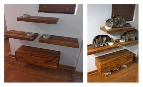 Brown Kiaat floating shelf. Cat feeding station. Dog proof. Elevated. Elevated Feeding Station Cats, Multi Pet Feeding Station, Multiple Pet Feeding Station, Cat Shelf Feeding Station, Cat And Dog Feeding Station Diy Projects, Raised Cat Food Station Diy, Dog And Cat Feeding Station, Animal Feeding Station, Elevated Cat Food Station