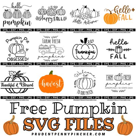 Add a touch of autumn to your apparel and home decor with these free fall pumpkin SVG files. They are perfect for t-shirts, fall wall art, fall wood signs, tumblers, mugs, and much more! Whether you want to make Fall Cricut projects to sell or as a fall craft to give as a gift, there are tons of free svgs so celebrate fall in style with these cute fall t-shirts and DIY fall decor ideas. These fall pumpkin cut files are easy to download and turn into DIY fall projects. Cricut Art Projects, Fall Vinyl Ideas, Fall Svg Files Free Cricut, Svg Fall Designs Free, Cricut Projects Ideas Decor Wall Art, Free Pumpkin Svg Files For Cricut, Cricut Pumpkin, Fall Svg Files, Fall Mug Ideas