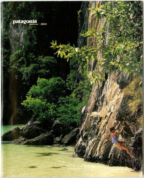 Patagonia Summer, Lofi Art, Vintage Poster Design, Dorm Posters, Vintage Patagonia, Best Ads, Nature Posters, Picture Collage Wall, Vintage Poster Art