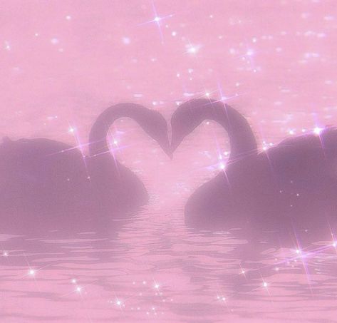 #swans #swan #pinkaesthetic #pink #sparkly #sparkle Home Aesthetic, Aesthetic Pink, Swans, We Heart It, Light Pink, Lost, Pink