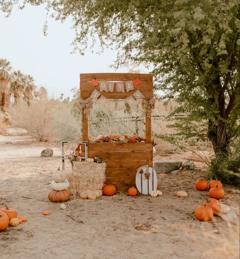 A cute idea for fall minis! Fall Pop Up Shop, Pumpkin Patch Decorating Ideas, Pumpkin Patch Backdrop, Pumpkin Patch Stand, Pumpkin Patch Theme, Pallet Stand, Pumpkin Patch Birthday Party, Fall Photo Booth, Pumpkin Patch Birthday