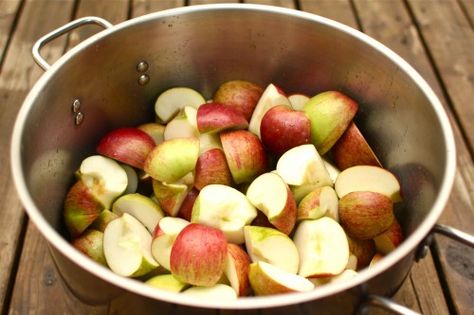 preserving ideas!! Applesauce For Canning, Canning Applesauce, Make Applesauce, Canned Applesauce, Homemade Cider, Canning Apples, How To Make Applesauce, Dry Mixes, Apple Recipes Easy