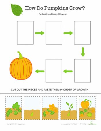 Worksheets: Pumpkin Life Cycle - Perfect since we have our own pumpkins growing in the back yard! Pumpkins Kindergarten, Pumpkin Unit, Pumpkin Life Cycle, Pumpkin Activities, Fall Lessons, Fall Kindergarten, Apple Theme, Fall Preschool, Kindergarten Science