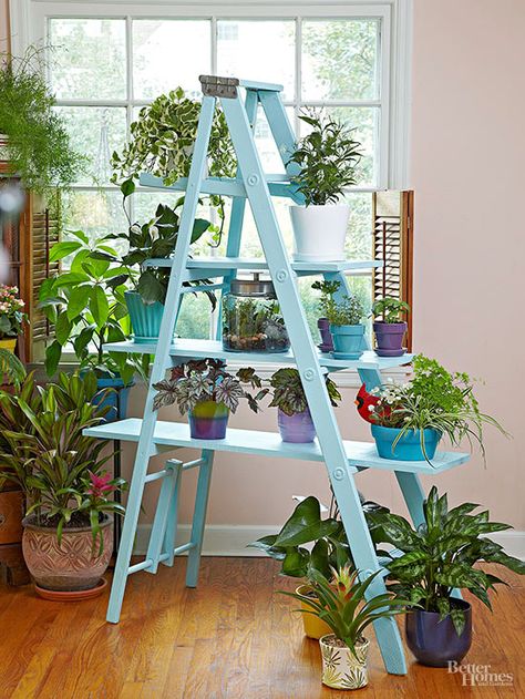 Add a new level to your home decor by incorporating a ladder into the mix. We show you how to upcycle an old ladder to hang towels in your bathroom, hang mason jars filled with flowers, use as a bookcase or display large potted indoor plants. All your wooden ladder needs is a little paint and DIY love to become functional rustic decor! Ladder Planter, Ladder Plant Stand, Old Wooden Ladders, Plant Ladder, Garden Ladder, Old Ladder, Vintage Ladder, Support Pour Plante, Hanging Mason Jars