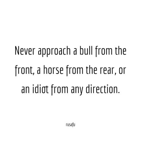 Never approach a bull from the front, a horse from the rear, or an idiot from any direction. - RUSAFU Petty Quotes Funny, Alpha Female Quotes, Sarcasm Comebacks, Petty Quotes, Twix Cookies, Serious Quotes, Funny Pictures With Captions, Savage Quotes, Lovely Quotes