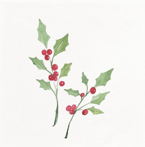 Herbarium Ideas, Cake Ads, Holly Sprigs, Watercolor Christmas Cards Diy, Watercolor Holly, Holly Flower, Holly Pictures, Clay Painting, Holly Print