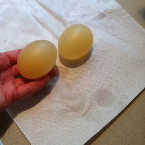 Egg bouncy ball! Just soak an egg in vinegar for 12-24 hours! This is soo cool and actually works! #mypicture Egg In Vinegar, School Age Crafts, Bouncy Ball, Diy Website, School Age, Kitchen Floor, Science Fair, An Egg, Science Art