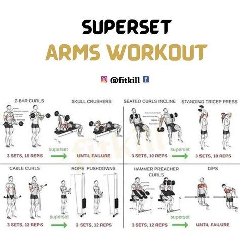 fitness_model on Instagram: "Superset Arms Workout FOLLOW 👉@fitness_model.1 🔥🔥 #armsworkout #supersetarms #bicepsworkout #tricepsworkout #workouttips #gymaddict #workouts #fitness #fitkill" Super Set Tricep Workout, Bicep Superset Workout, Superset Arms, Superset Arm Workout, Arm Workout Men, Superset Workout, Workout Gym Routine, Arms Workout, Healthy Man