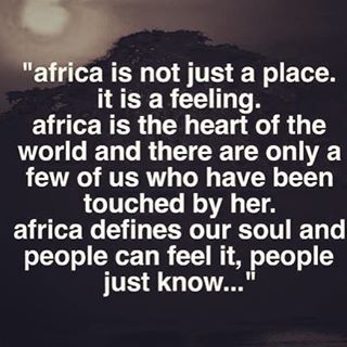 My heritage. Africa runs through my blood and makes my heart beat. Africa Quotes, African Quotes, African Proverb, Africa Do Sul, Out Of Africa, Missions Trip, African History, Southern Africa, African Culture