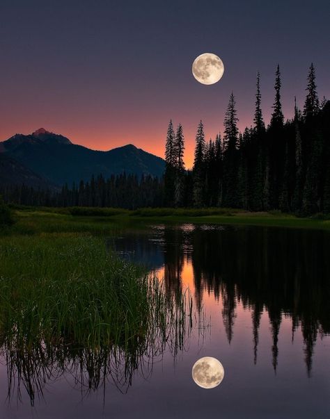 Reflection on the Water Full Moon Pictures, Full Moon Photography, Full Moon Photos, Images Beautiful, Moonlight Photography, Moon Images, Moon Wallpaper, Moon Photos, Image Nature