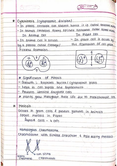 Cell Cycle and Division - Biology Handpicked Short Notes Cell Division Notes, Cell Cycle And Cell Division Mind Map, Cell Cycle And Cell Division Notes, Cell The Unit Of Life Notes Class 11, Class 11 Biology Notes Cell Cycle And Cell Division, Biology Notes How Do Organism Reproduce, Interphase Cell Cycle, Redox Reactions, Human Body Facts