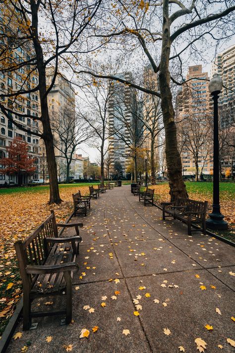 Autumn color and walkway at Rittenhouse Square Park, in Philadelphia, Pennsylvania Rittenhouse Square, Runners High, Hotel Motel, Posters Framed, Philadelphia Pennsylvania, Autumn Aesthetic, City Aesthetic, Party City, City Girl