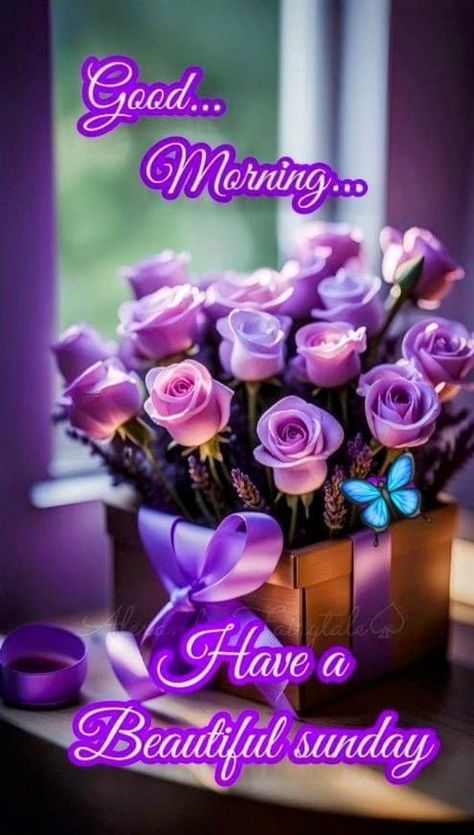 Happy Teddy Day Images, Sunday Flowers, Temple Wallpaper, Happy Sunday Images, Good Morning Sunday, Good Morning Sunday Images, Weekend Greetings, Happy Sunday Morning, Sunday Greetings