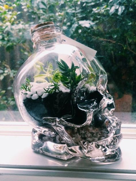 Interesting terrarium Flower Drinks, Skull Terrarium, Terrariums Diy, Garden Succulents, Desk Bookshelf, Double Meaning, Bottle Diy, Goth Home, Goth Home Decor